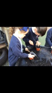 Reception are growing their very own beanstalks. I wonder what we will find at the top?